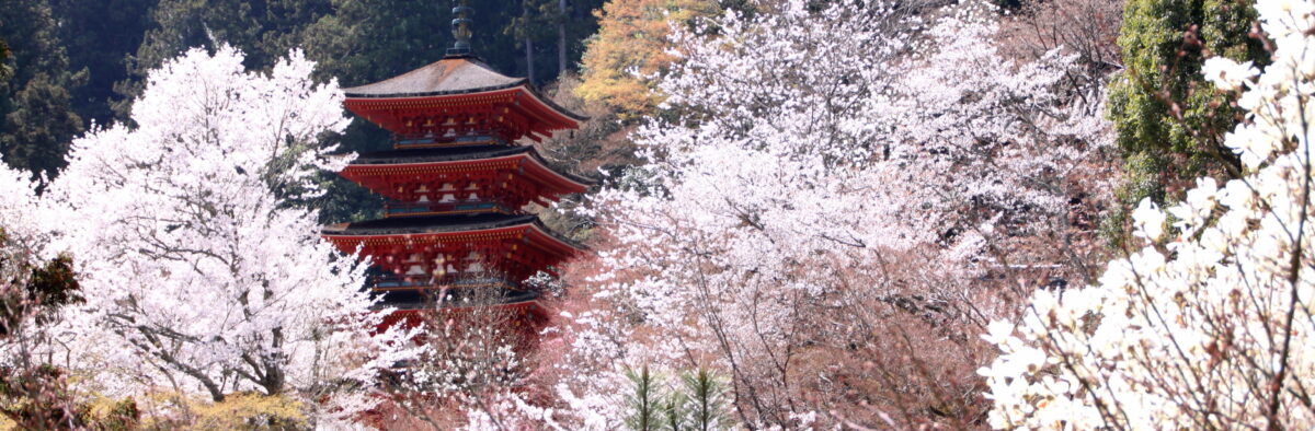 湘南鷹取三丁目自治会